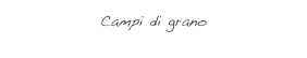 Campi di grano
